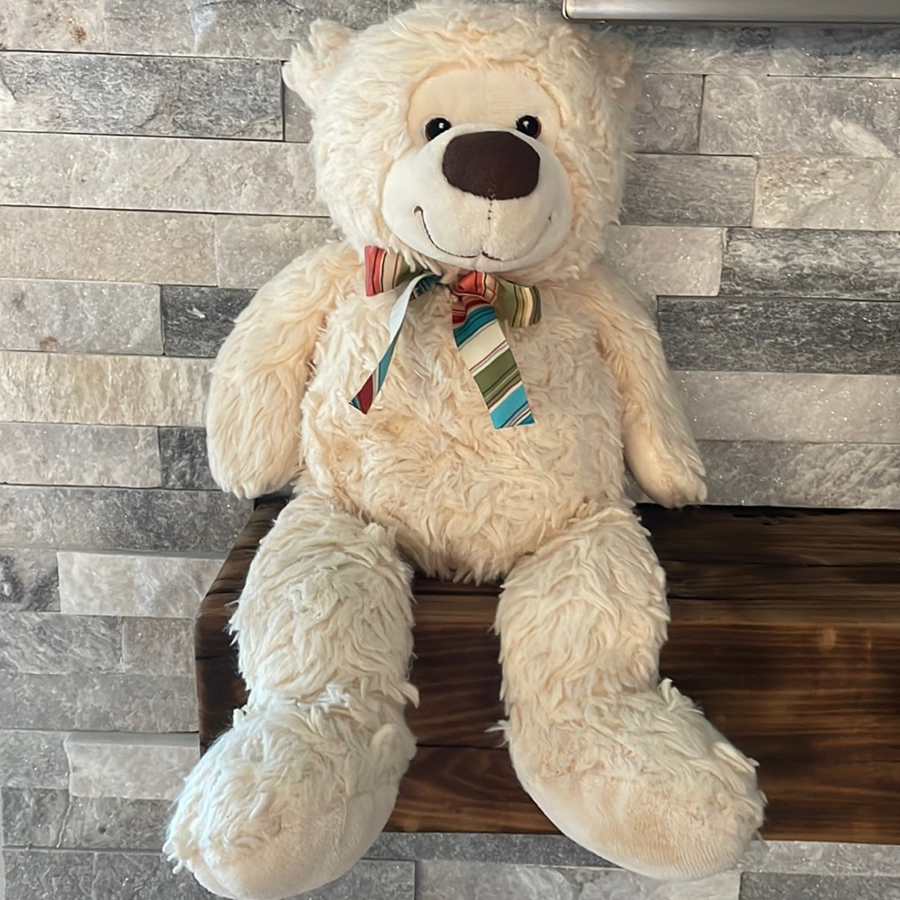 Plush Bear Stuffed Animal